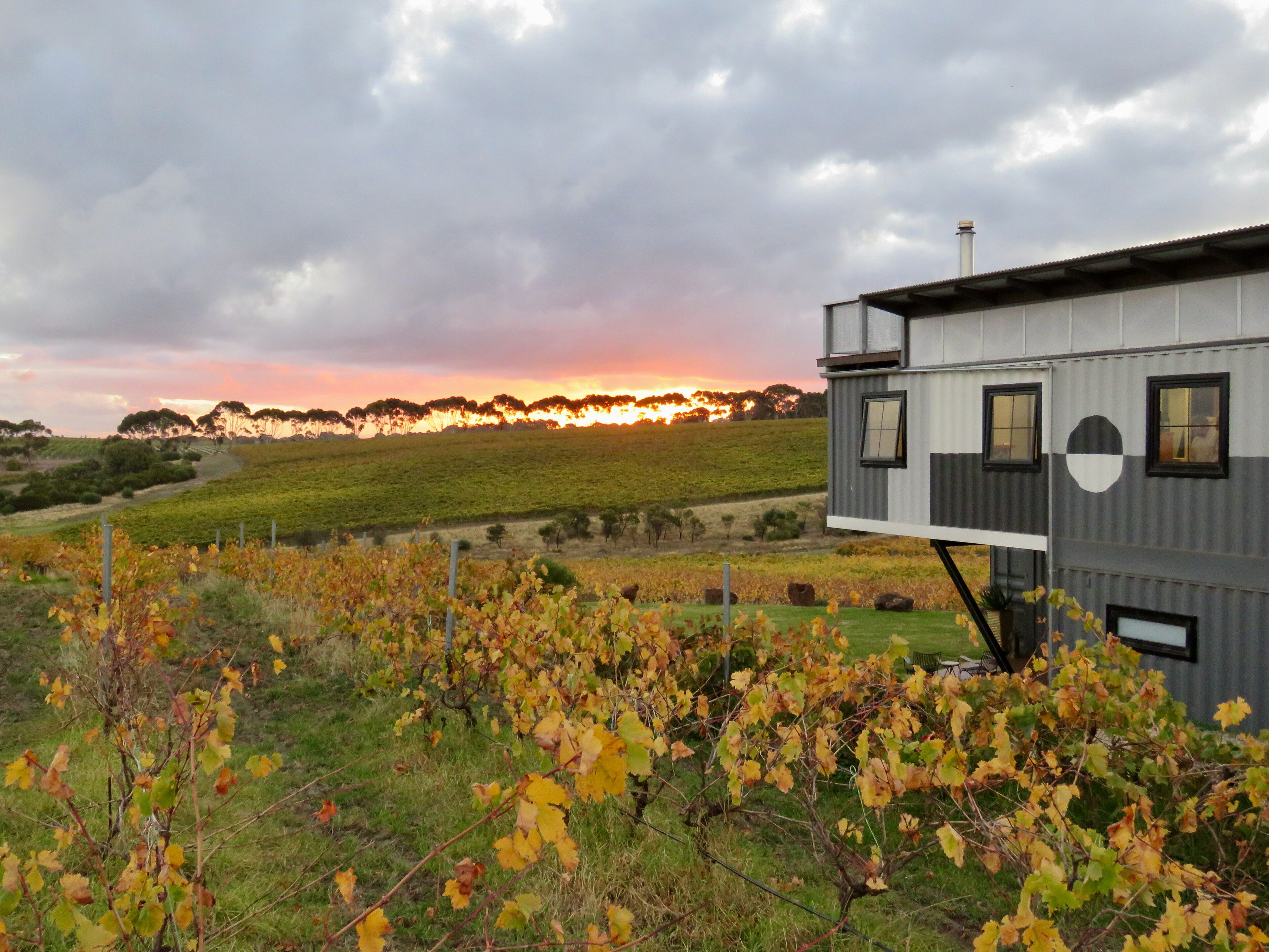 Una casa moderna de diseño único, ubicada en un viñedo con vistas al atardecer.