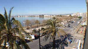 Un paysage urbain côtier offrant une vue dégagée sur la mer, avec des palmiers et un parking rempli de voitures.