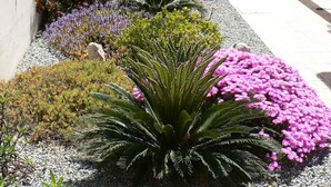 Eine Terrasse mit integriertem Grill, umgeben von verschiedenen Pflanzen und Blumen.
