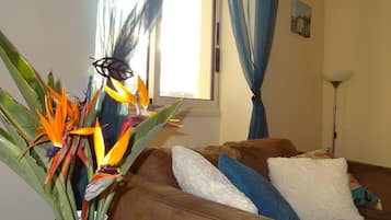 TV, DVD player, mesa de pingue-pongue, videoteca