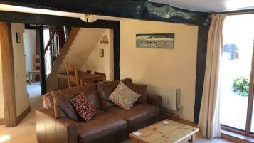 TV connectée, cheminée, lecteur de DVD, livres