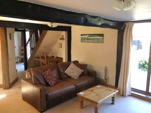 Smart TV, fireplace, DVD player, books