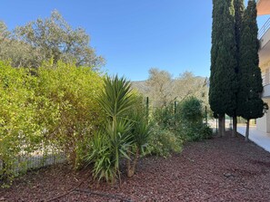 A landscaped garden with various plants, a gravel path, and a building in the background.