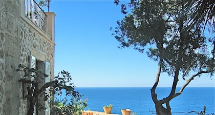 Finca Tramuntana in Banyalbufar with fantastic sea views (ETV/8489)