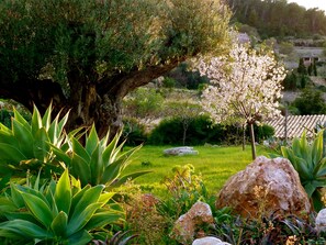 Property grounds - Finca Tramuntana in Banyalbufar with fantastic sea views (ETV/8489) (Banyalbufar)