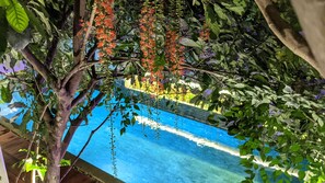 Outdoor pool, pool umbrellas, pool loungers - Denalee Villa (Phnom Penh)