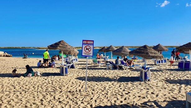 Une plage avec des transats, une tour de surveillance pour les sauveteurs et un panneau indiquant qu'il est interdit d'y amener des animaux.