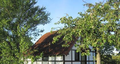 Lomatalo Deichgraf 86 lomakyl��ssä Altes Land - Lomatalo 167 Deichgraf 86qm enint. 6 henkilöä