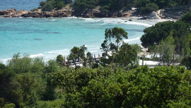 Eine Küstenlandschaft mit Strand, felsiger Küste und dichter Vegetation.