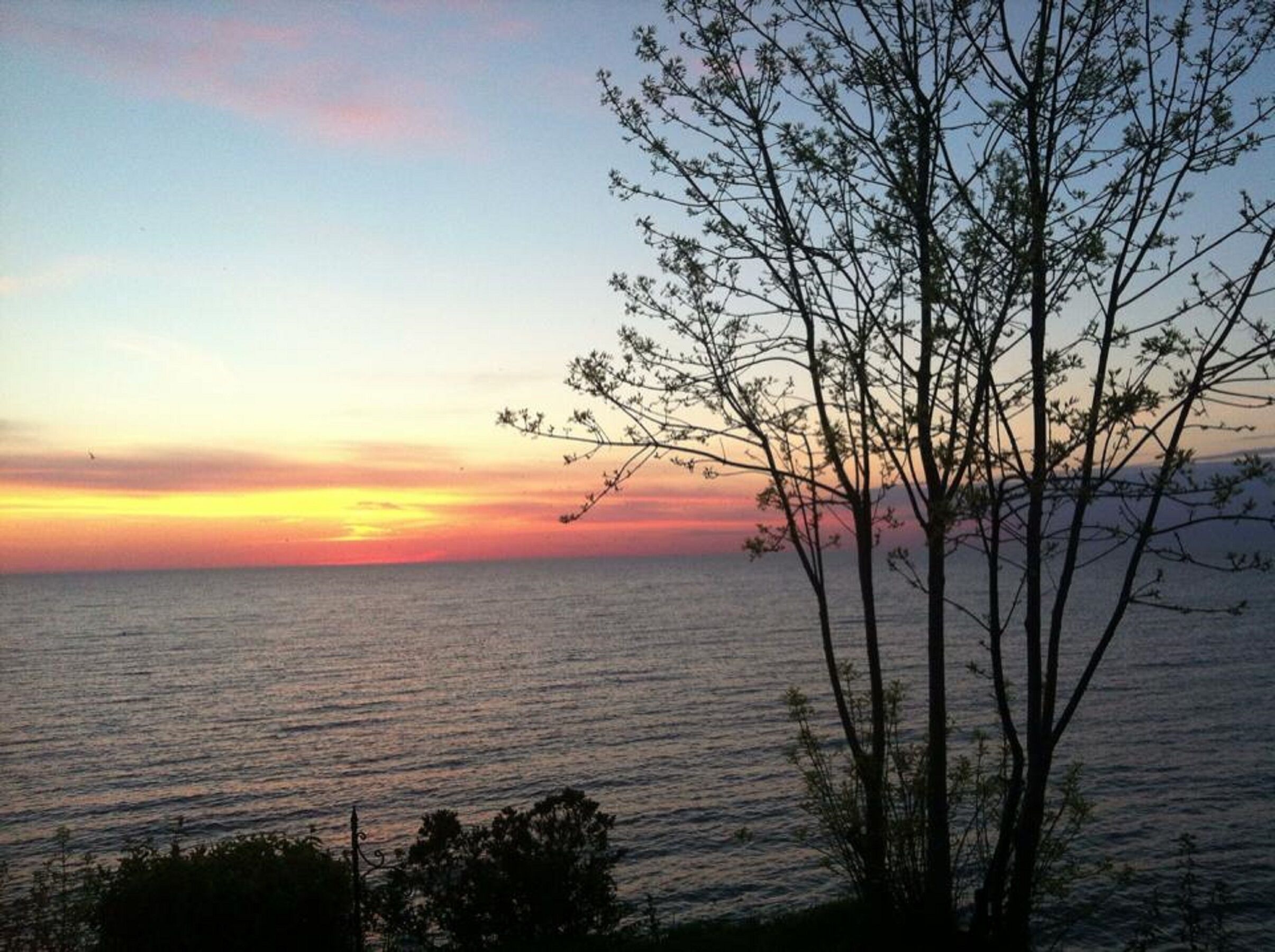 A sunset over a calm sea with silhouettes of trees in the foreground.