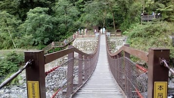 A suspension bridge with a wooden walkway and metal railings, surrounded by dense greenery.