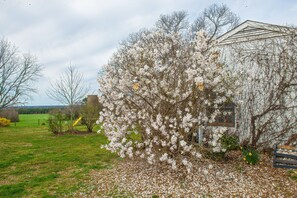 Property grounds - George Washington Slept Here! (St Stephens Church)
