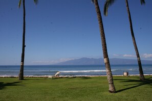 On the beach, sun loungers, beach towels