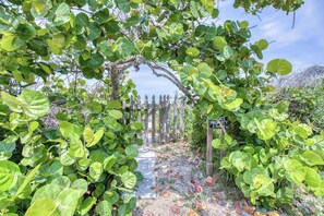 Property grounds - Beachfront home with wrap around deck and rooftop deck! - 6320 S. Atlantic (New Smyrna Beach)
