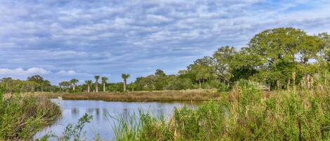 Parco della struttura