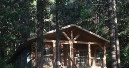 Lake Logan Serenity - lakeside cabin, pets welcome, hot tub, fishing, swimming