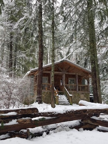 Lake Logan Serenity - lakeside cabin, pets welcome, hot tub, fishing, swimming