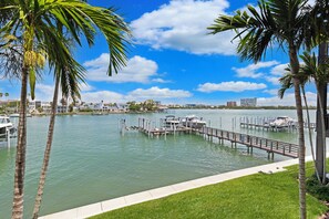 Marina - Largest 4 Bed Townhome on Clearwater Beach, Elevator, Dolphins, Walk everywhere (clearwater)