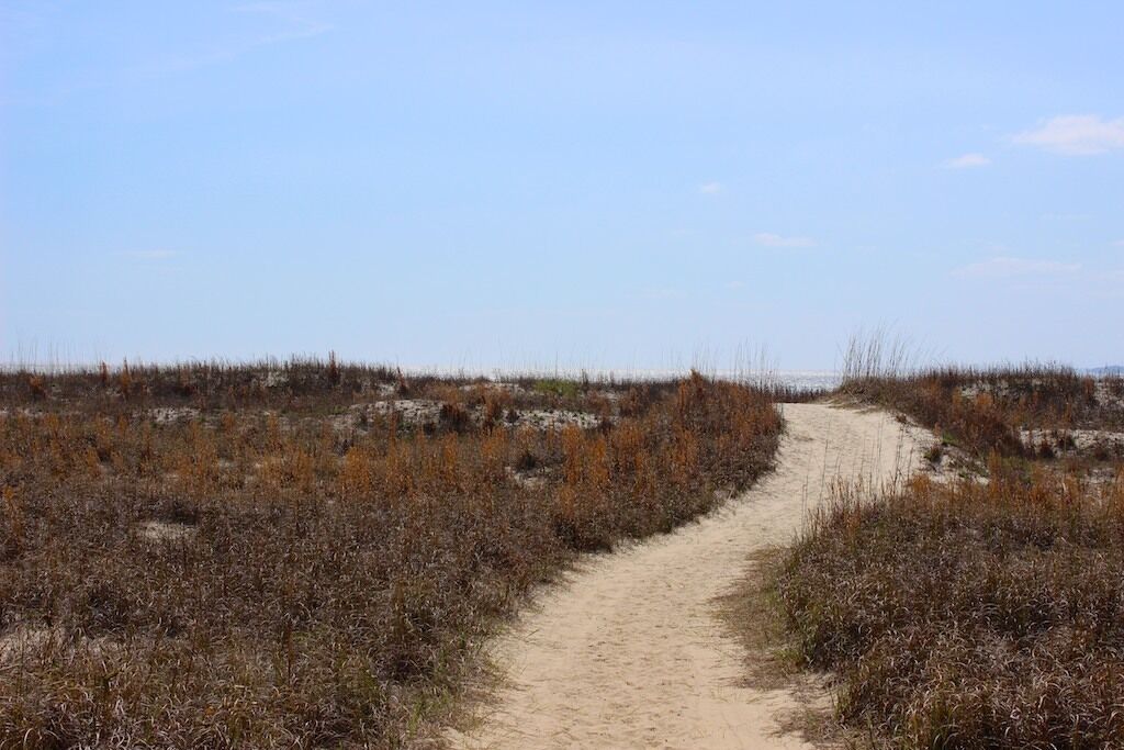 Een zandpad dat door een natuurlandschap met dorre begroeiing loopt.