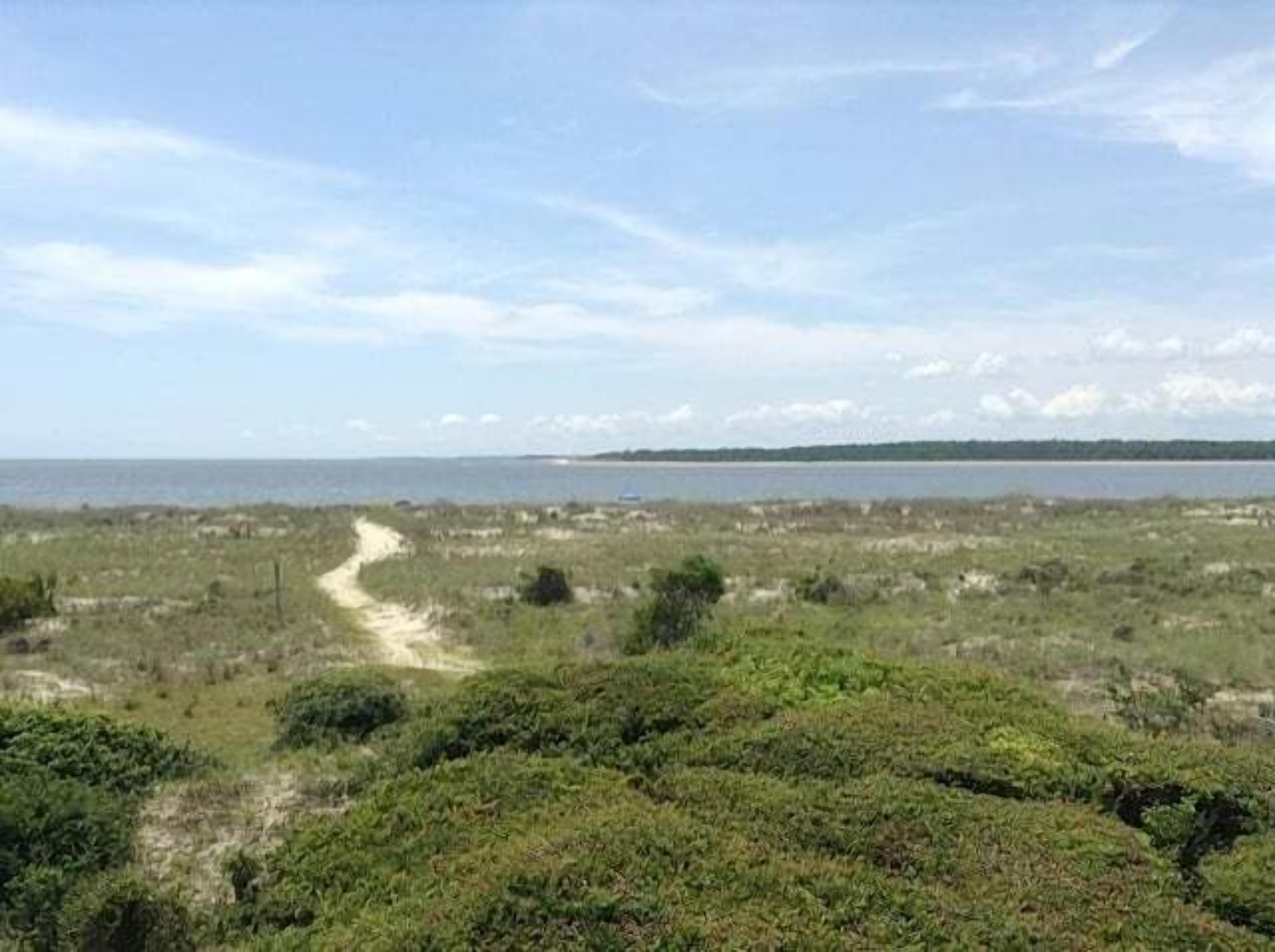 A coastal landscape with a dirt path leading to the beach.