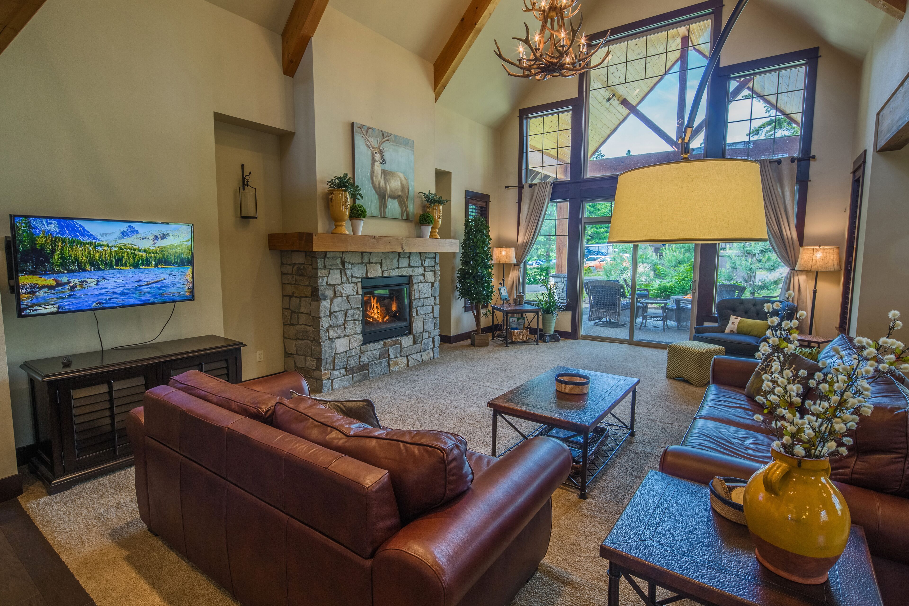 TV connectée, cheminée, jeux vidéo, lecteur de DVD