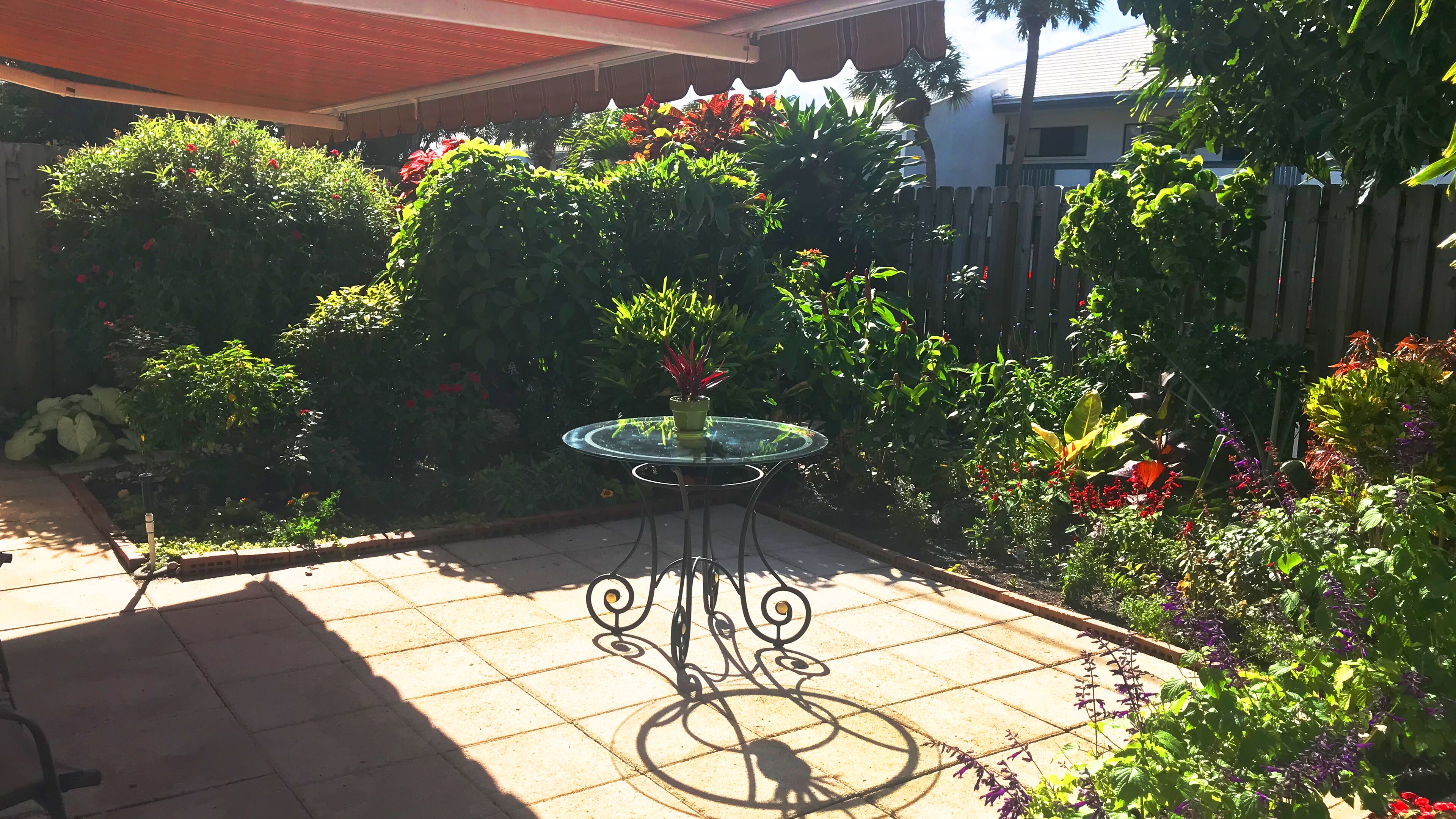 Un patio con una mesa de vidrio rodeada de follaje exuberante y plantas con flores.