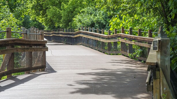 A wooden bridge with a metal railing, surrounded by lush greenery. - 4 Beds, 4 bathrooms! 1 block to town shops, bars, bowling, canoeing, and parks! (Flushing)