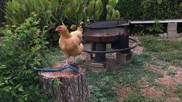 Enceinte de lâhĂ©bergement