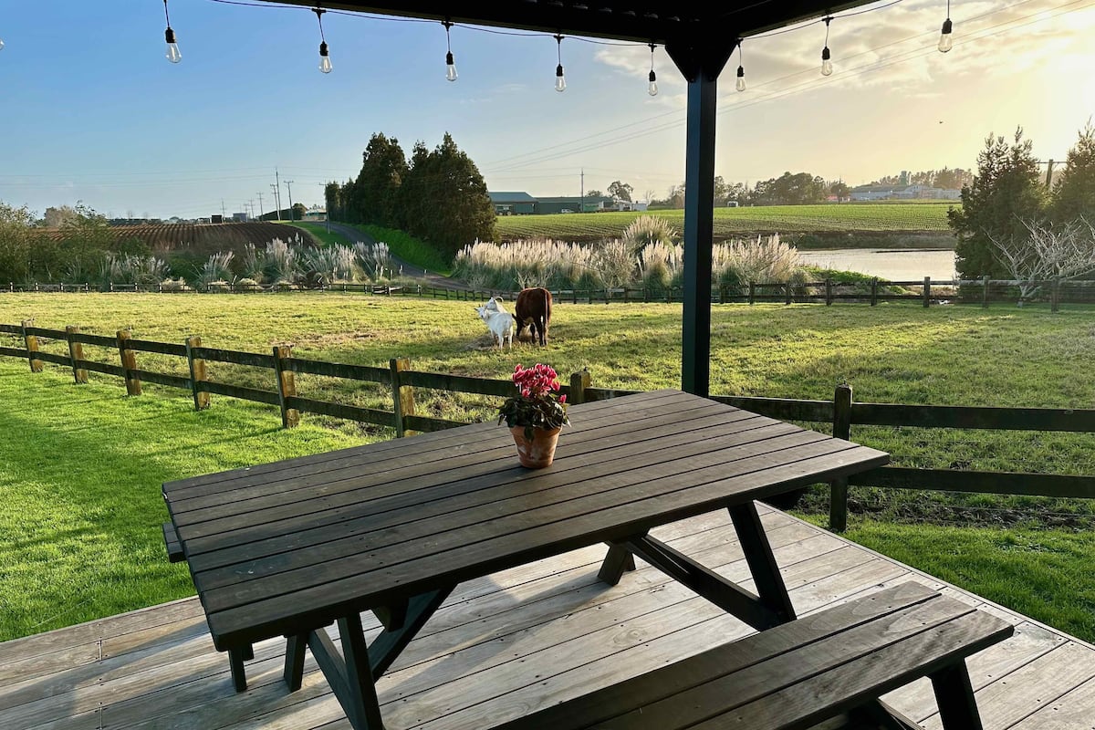 A wooden picnic table with a potted plant, set on a deck with a view of a grassy field and a body of water.