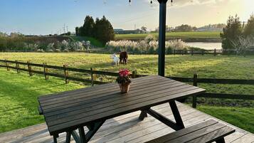 Une table de pique-nique en bois, agrémentée d’une plante en pot, est placée sur une terrasse d’où l’on peut admirer un champ verdoyant et une étendue d’eau.