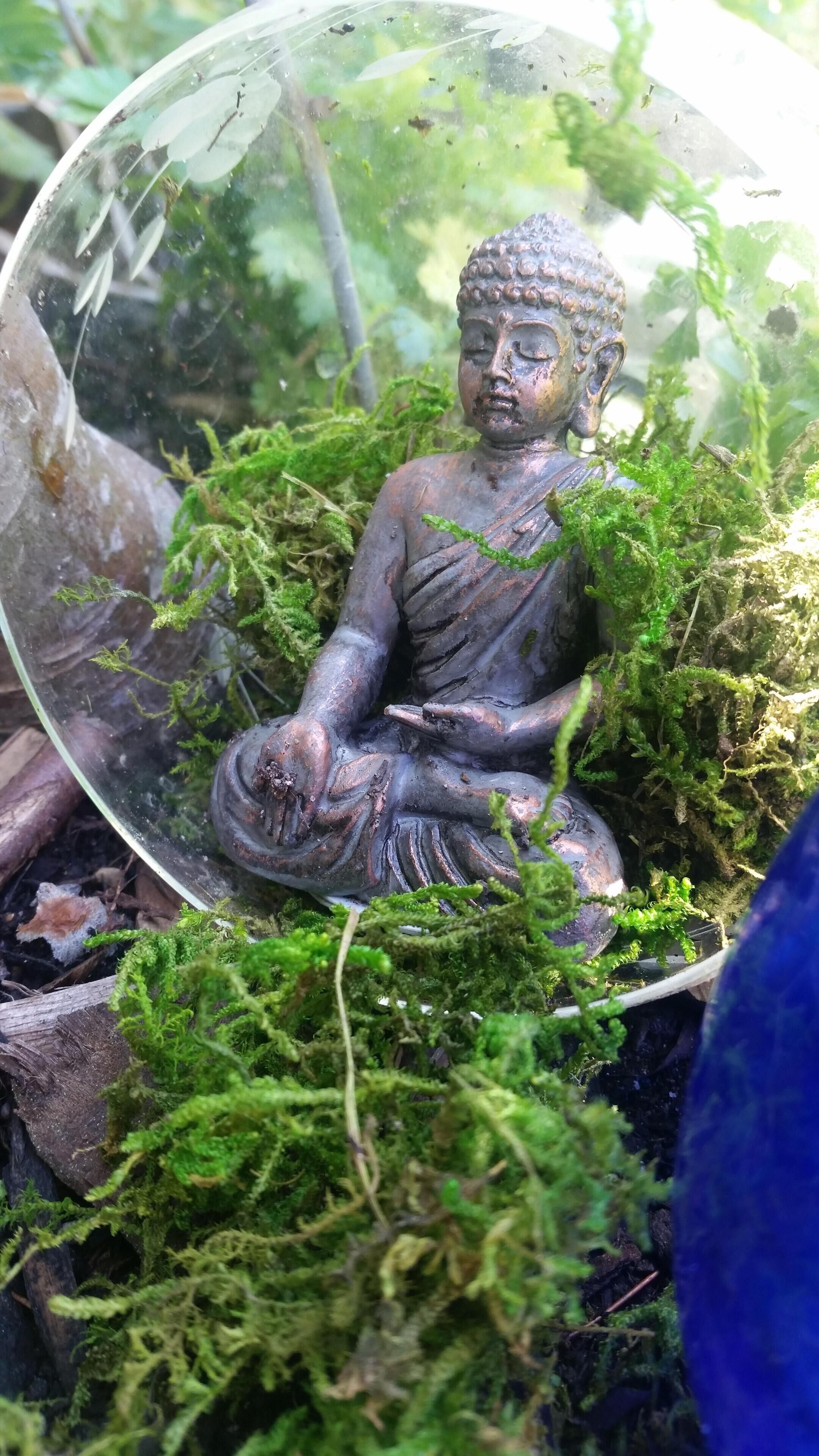 Uma estátua de uma figura sentada, cercada por musgo verde exuberante e plantas, protegida por uma esfera transparente.