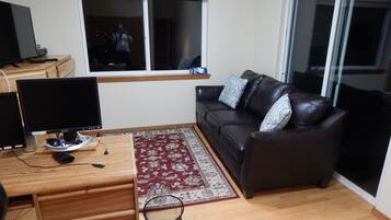 Smart-TV, peis, DVD-spiller og bøker