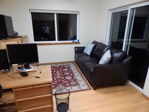 Smart TV, fireplace, DVD player, books