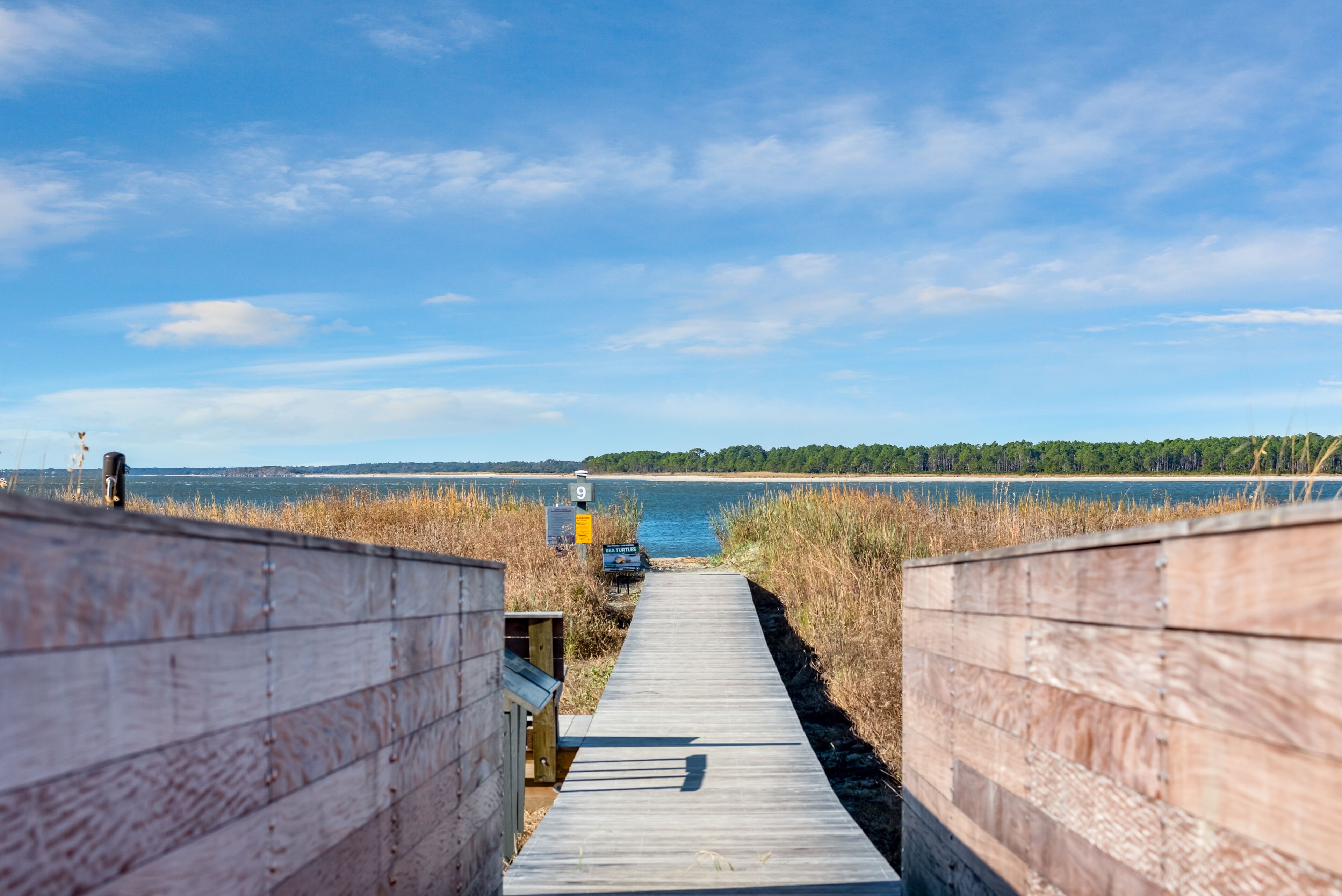 Une promenade en bois mène à une plage d’où l’on a une vue dégagée sur l’eau et sur les arbres qui se dressent au loin.