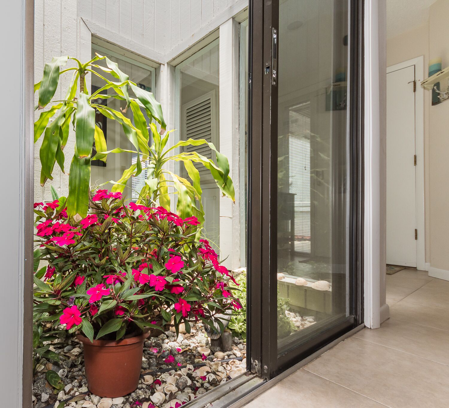 A potted plant with pink flowers in front of a sliding glass door.