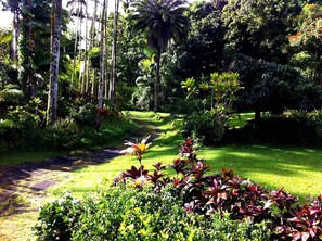 Overnattingsstedets uteområder