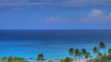 Tumbonas y toallas de playa