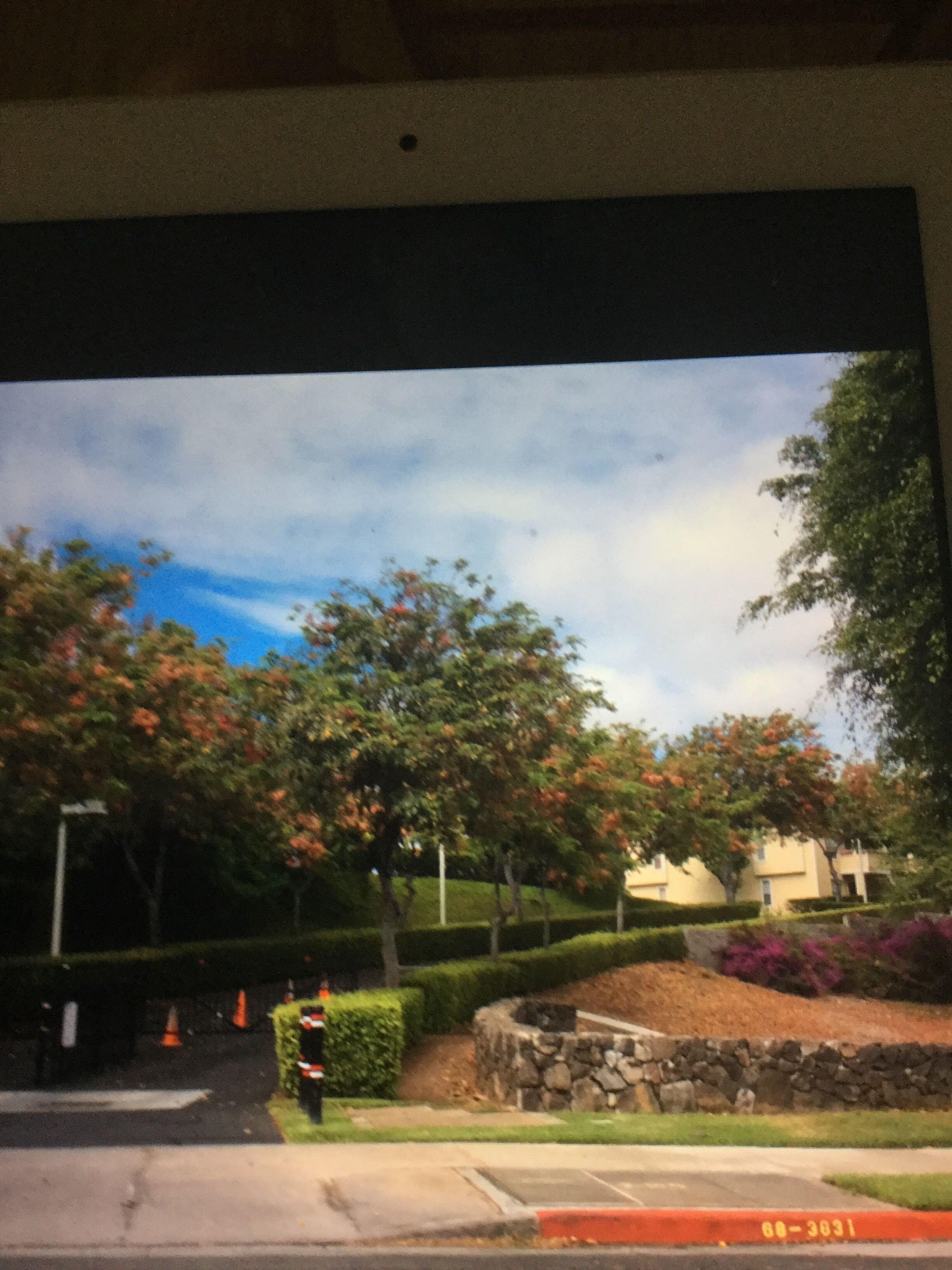 Golf Swim and Surf Waikoloa Village - Photo 26