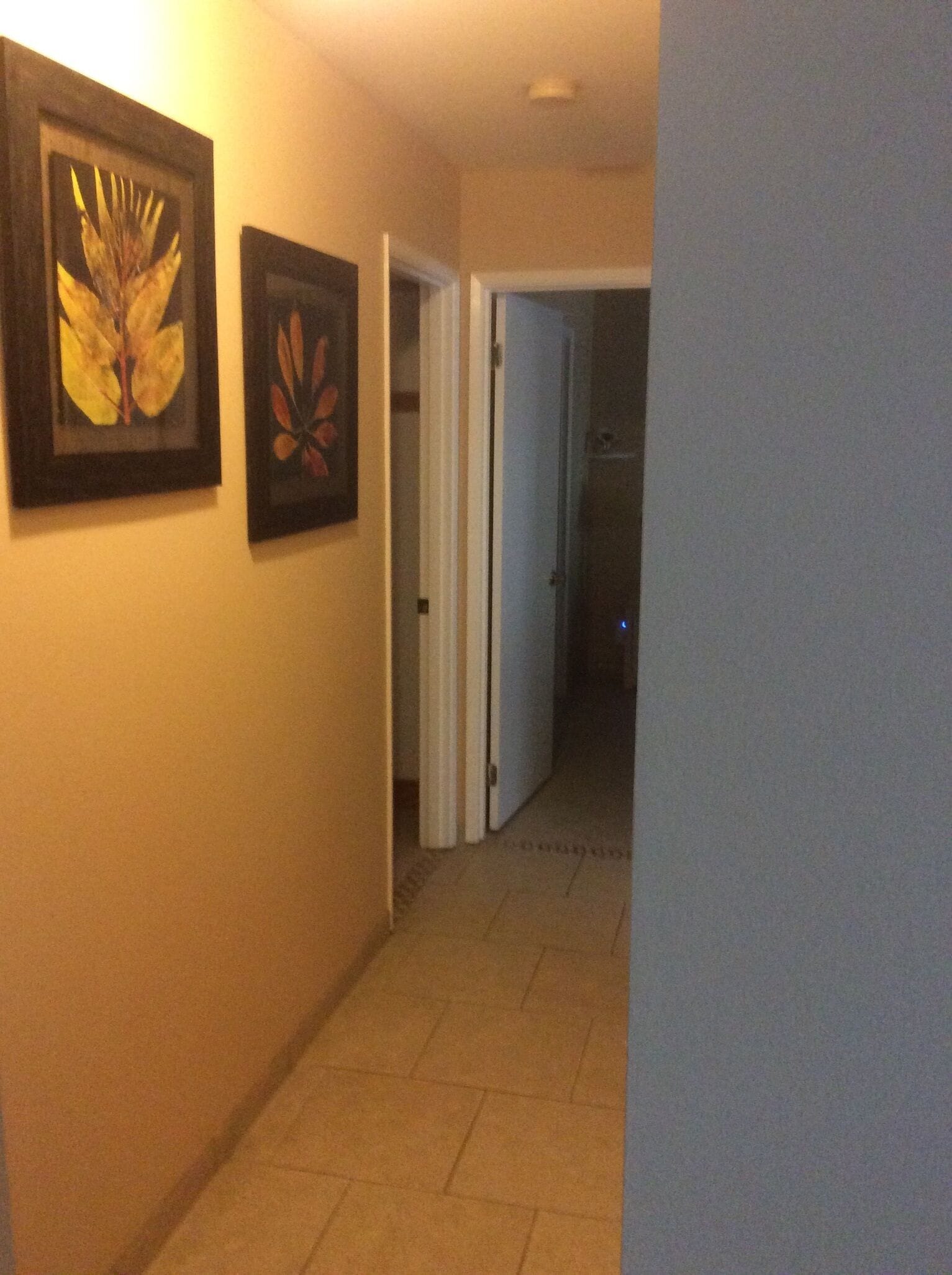 Golf Swim and Surf Waikoloa Village - Photo 25