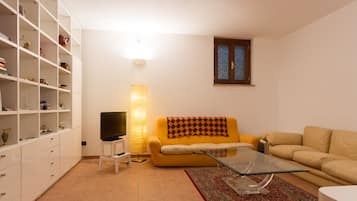 Télévision, cheminée, livres