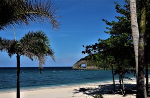 A beach with clear blue water, palm trees, and a rock formation.