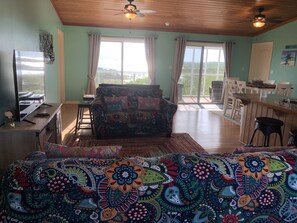 Smart TV, DVD player, books, music library