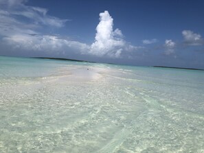 Sun-loungers, beach umbrellas, beach towels