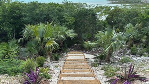 Un sendero de madera que atraviesa un jardín tropical con follaje denso y vistas al océano.