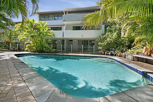 A swimming pool with a tiled edge, surrounded by a paved deck and lush greenery. - Tea Trees (Noosa Heads)