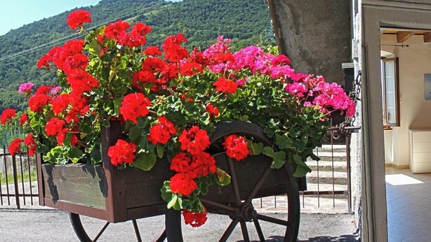 Ein hölzerner Wagen voller leuchtend roter und pinkfarbener Blumen, platziert vor einem Gebäude mit einer Treppe, die zu einer Tür führt.