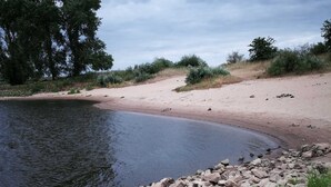 Eine felsige Küstenlinie mit ruhigem Gewässer, umgeben von spärlicher Vegetation und Bäumen.