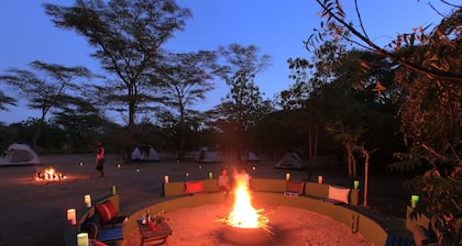 Emerald Lodge Turmi