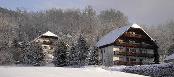 Apartment for 2-4 persons - No. 2 - Apartments Haus Bianca and Sterngut