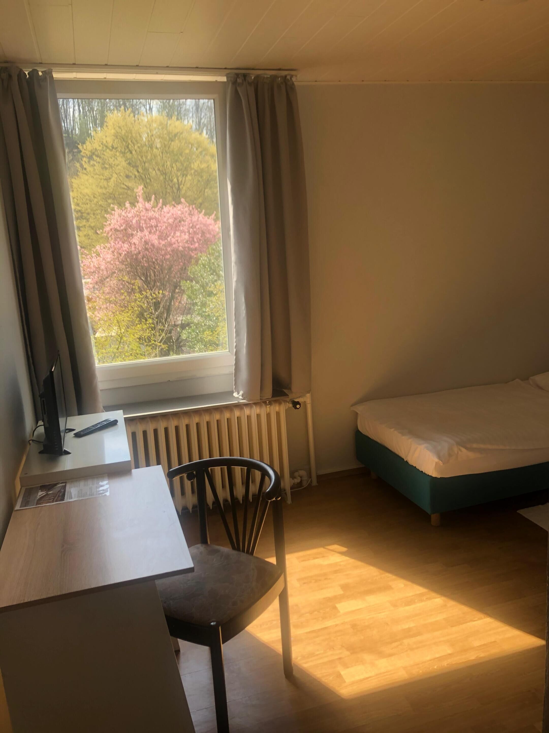 Foto - Hotel Schwaferts